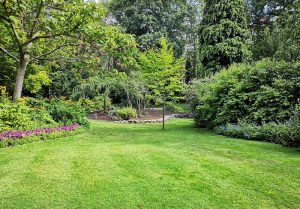 Optimiser l'expérience du jardin à Verel-de-Montbel